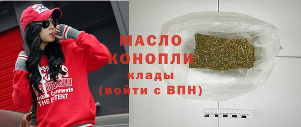 дживик Дубна
