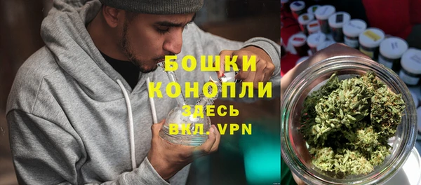 молекула духа Сатка